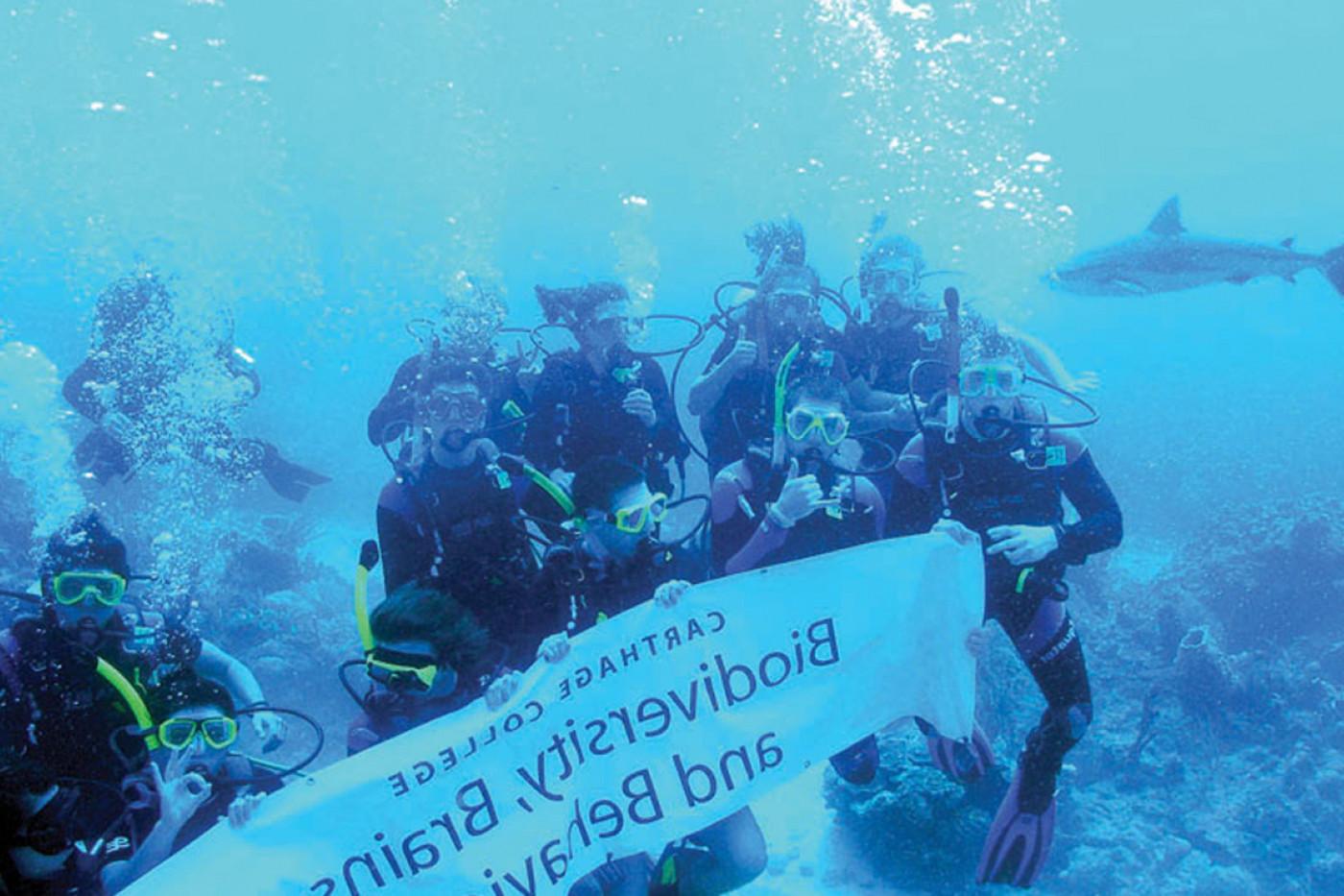 在j学期的生物多样性、大脑和行为研究之旅中，学生们在水下遇到了鲨鱼 ...